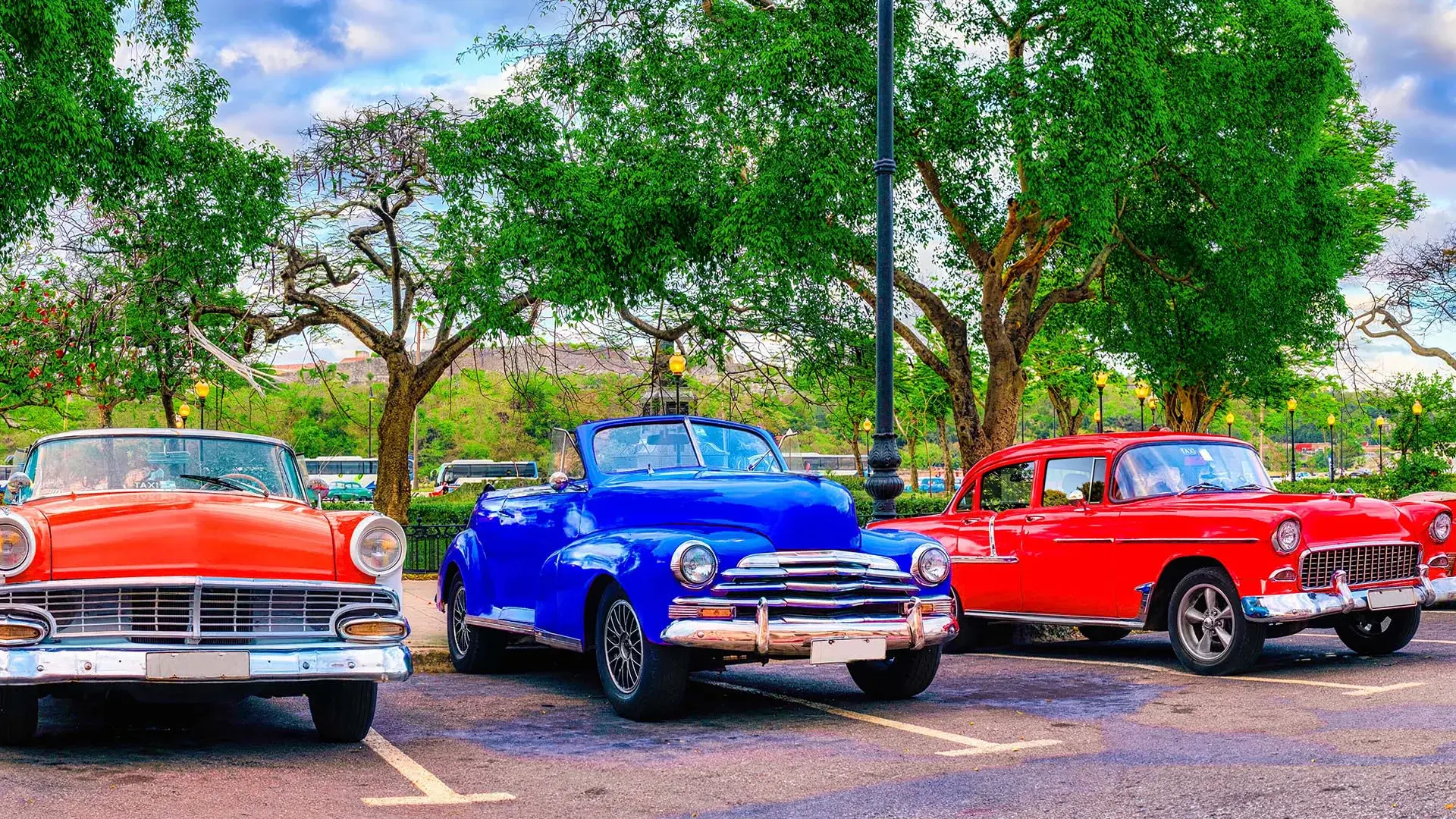 Classic Restoration