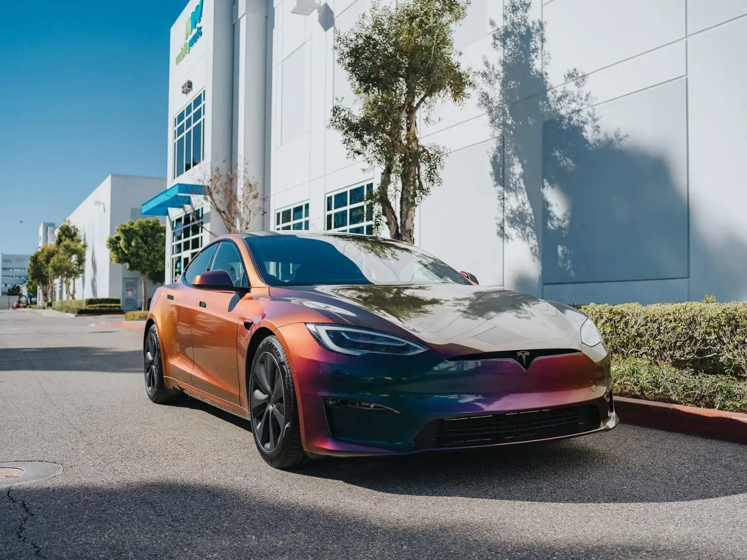 Vinyl Wraps